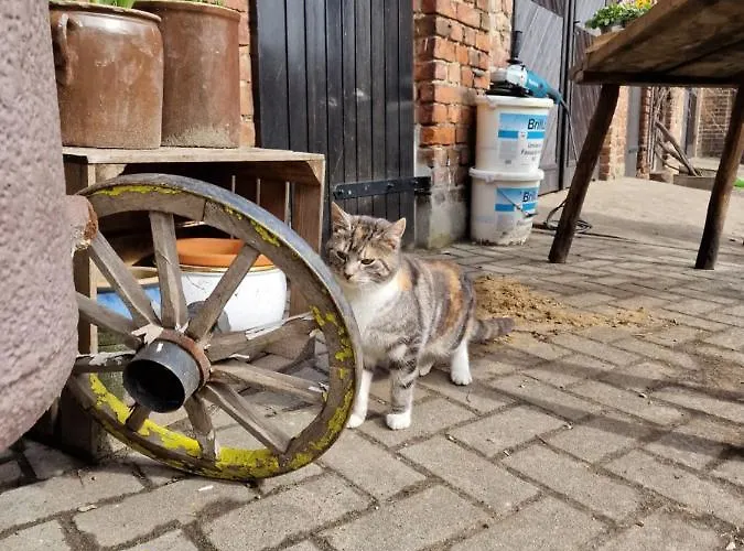 Lägenhet Familienhof Gottschalk Beelitz